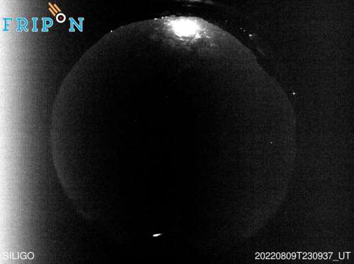 Full size image detection Siligo (ITSA02) 2022-08-09 23:09:37 Universal Time