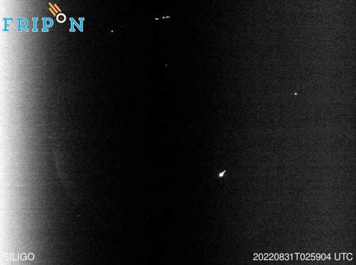 Full size image detection Siligo (ITSA02) 2022-08-31 02:59:04 Universal Time