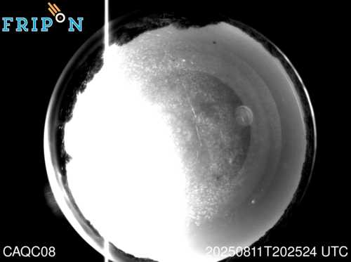 Full size capture Frelighsburg (CAQC08) 2025-08-11 20:25:24 Universal Time