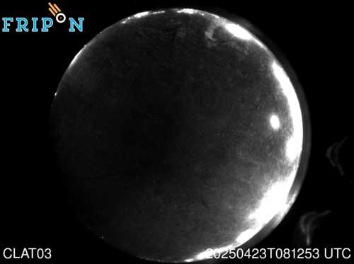 Full size capture Inca de Oro (CLAT03) 2025-04-23 08:12:53 Universal Time