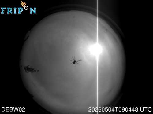 Full size capture Weil der Stadt (DEBW02) 2026-05-04 09:04:48 Universal Time