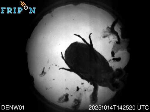 Full size capture Furstenberg (DENW01) 2025-10-14 14:25:20 Universal Time