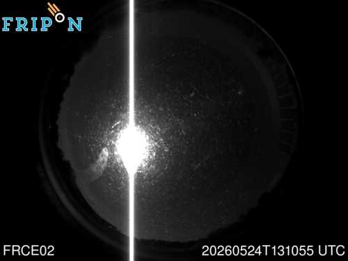 Full size capture Nancay - Pôle des étoiles (FRCE02) 2026-05-24 13:10:55 Universal Time