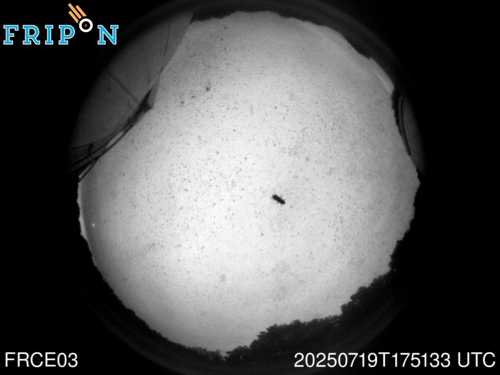 Full size capture Tauxigny (FRCE03) 2025-07-19 17:51:33 Universal Time