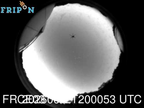 Full size capture Tauxigny (FRCE03) 2026-06-12 20:00:53 Universal Time