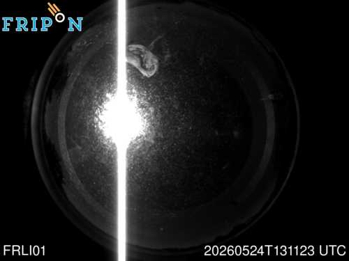 Full size capture Rochechouart (FRLI01) 2026-05-24 13:11:23 Universal Time