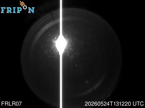 Full size capture Bizanet (FRLR07) 2026-05-24 13:12:20 Universal Time