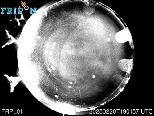 Full size capture Nantes (FRPL01) 2025-02-20 19:01:57 Universal Time