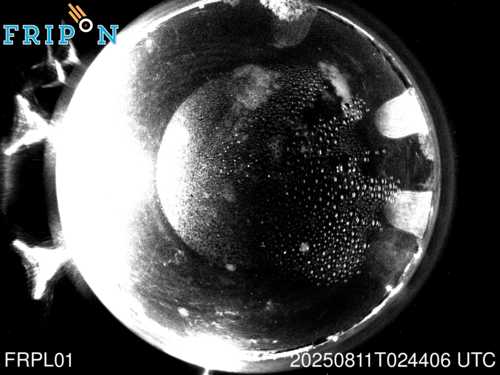 Full size capture Nantes (FRPL01) 2025-08-11 02:44:06 Universal Time