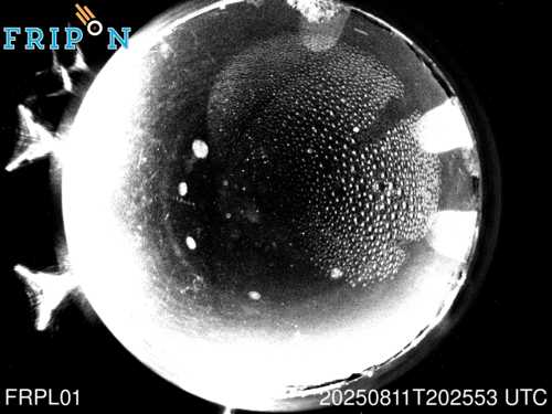 Full size capture Nantes (FRPL01) 2025-08-11 20:25:53 Universal Time