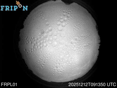 Full size capture Nantes (FRPL01) 2025-12-12 09:13:50 Universal Time