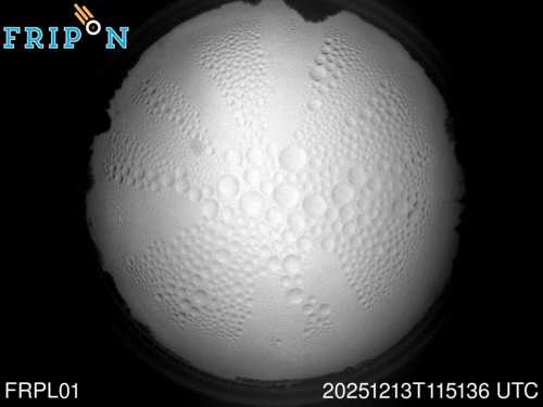 Full size capture Nantes (FRPL01) 2025-12-13 11:51:36 Universal Time