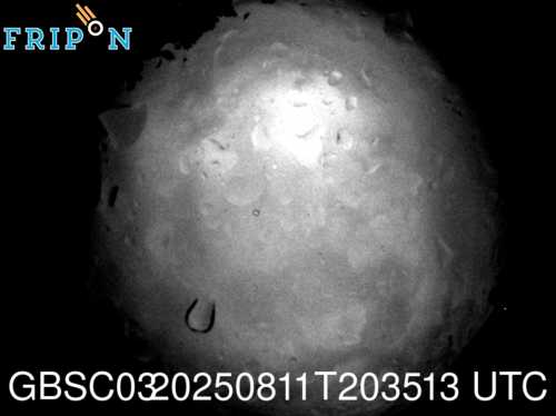 Full size capture Galashiels (GBSC03) 2025-08-11 20:35:13 Universal Time