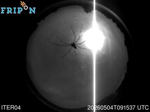 Full size capture Bedonia (ITER04) 2026-05-04 09:15:37 Universal Time