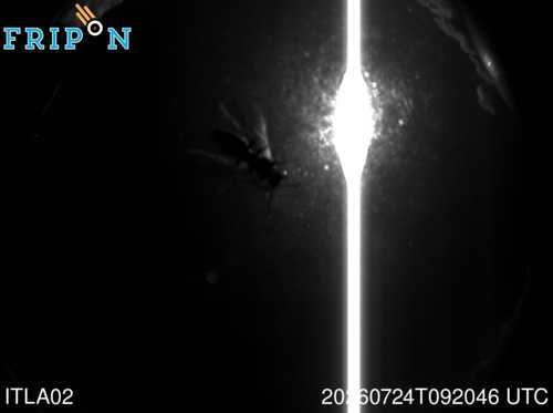Full size capture Gorga (ITLA02) 2026-07-24 09:20:46 Universal Time