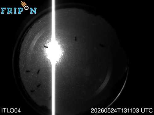 Full size capture Merate (ITLO04) 2026-05-24 13:11:03 Universal Time