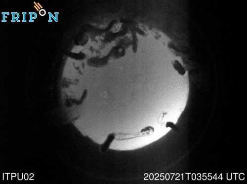 Full size capture Lecce (ITPU02) 2025-07-21 03:55:44 Universal Time