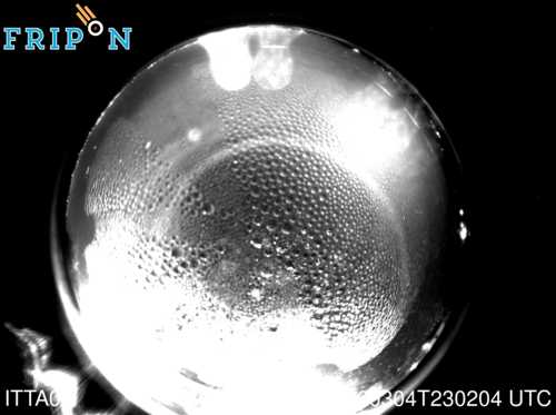 Full size capture Trento (ITTA01) 2026-03-04 23:02:04 Universal Time