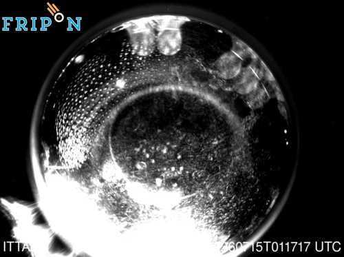 Full size capture Trento (ITTA01) 2026-07-15 01:17:17 Universal Time