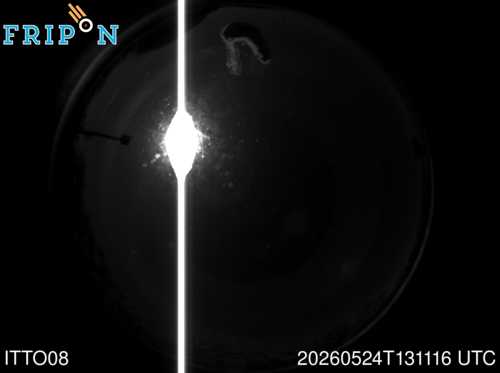 Full size capture Elba (ITTO08) 2026-05-24 13:11:16 Universal Time