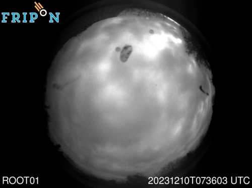 Full size capture Obârșia Nouă (ROOT01) 2023-12-10 07:36:03 Universal Time