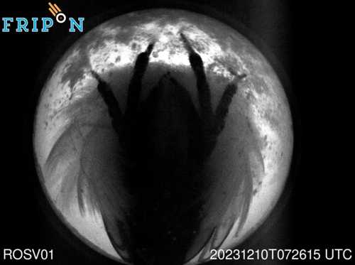 Full size capture Suceava (ROSV01) 2023-12-10 07:26:15 Universal Time