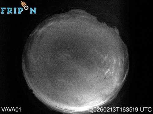 Full size capture Vatican (VAVA01) 2026-02-13 16:35:19 Universal Time